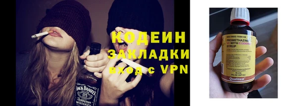 ALPHA PVP Каменка