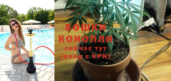 ALPHA PVP Каменка