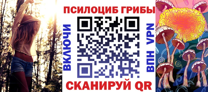 Купить  Разумное  Псилоцибиновые грибы Magic Shrooms 